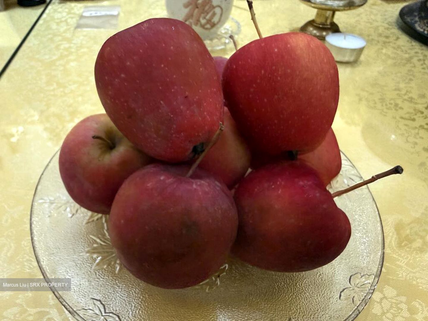 The Antares (D14), Apartment #521189571